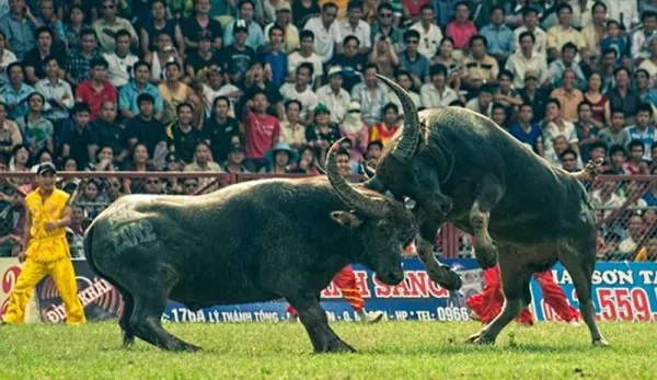 Kinh nghiệm du lịch Đồ Sơn Kinh nghiệm du lịch Đồ Sơn
