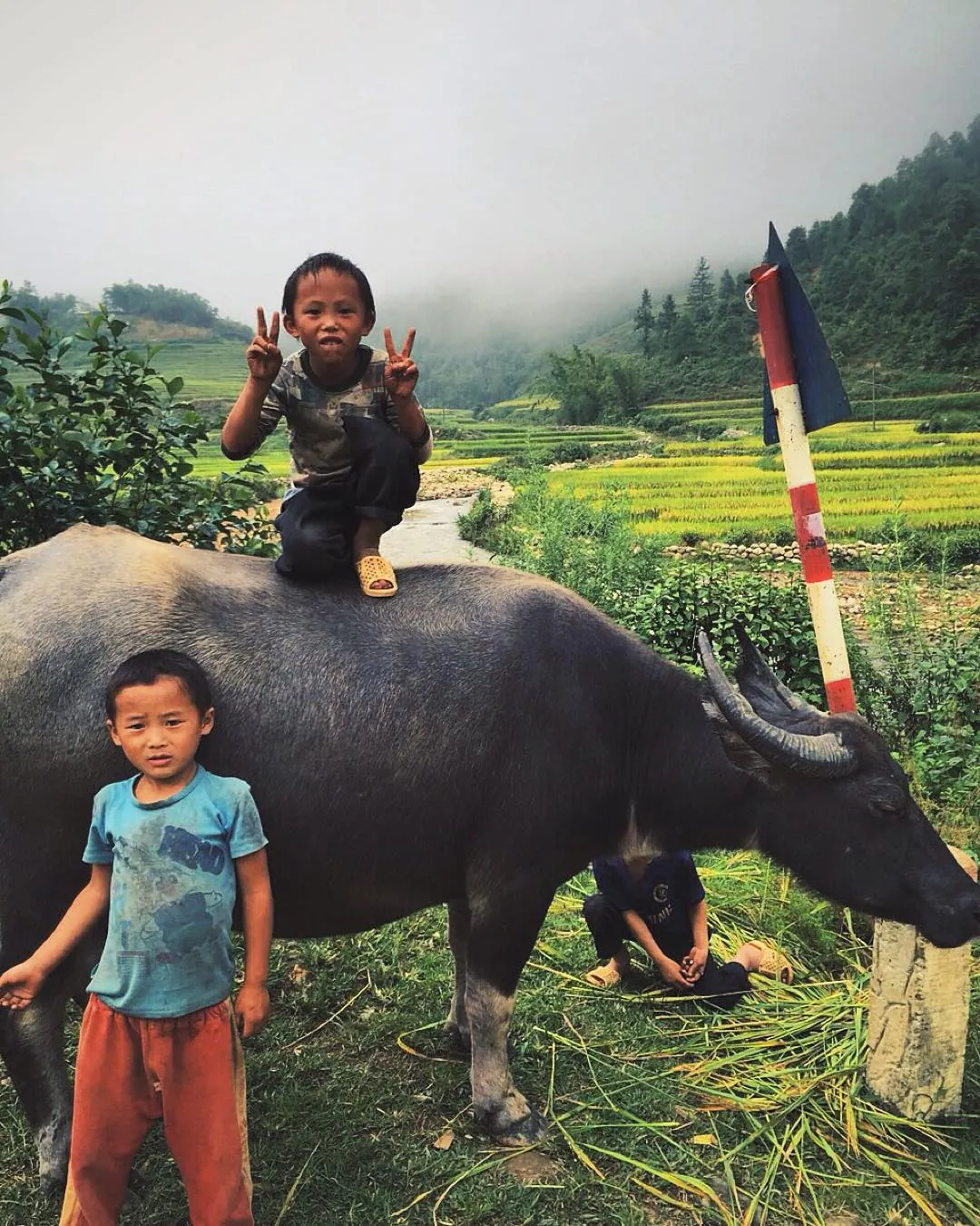 Kinh nghiệm phượt Sapa một mình chỉ với 700 nghìn