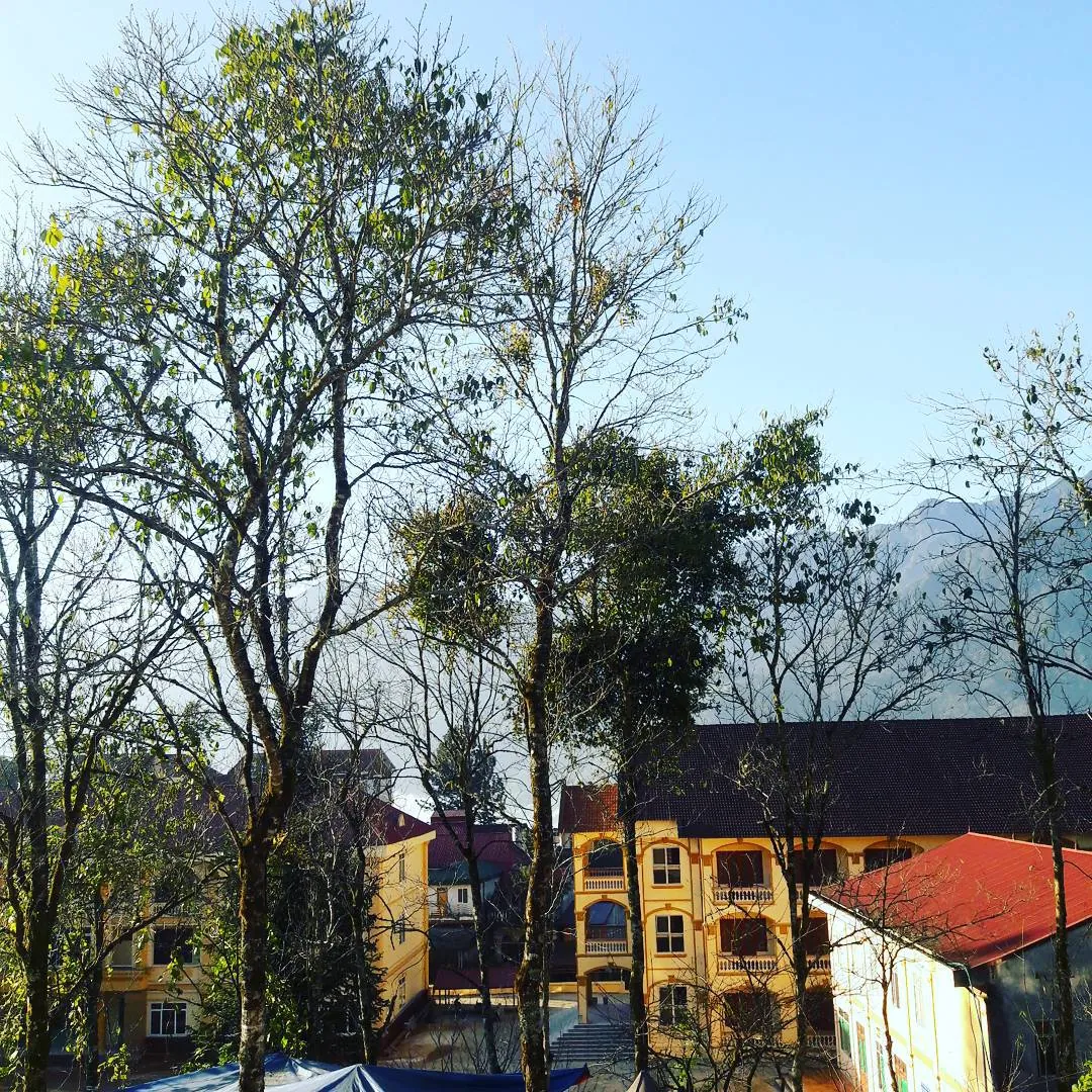 Kinh nghiệm phượt Sapa một mình chỉ với 700 nghìn