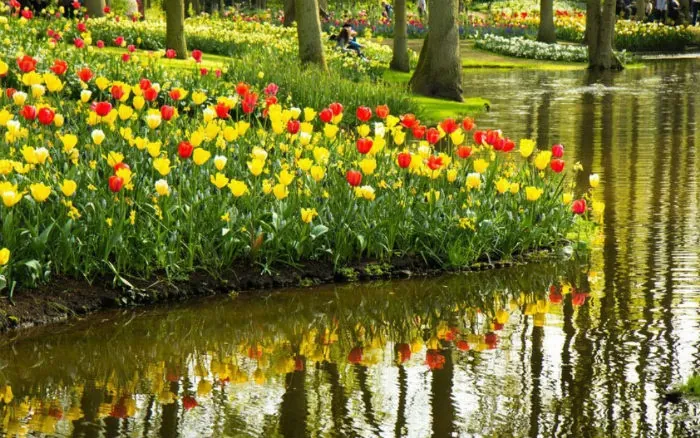 Mekong vào top tuyến đường sông phải đi năm 2016 Khá nhiều công ty thiết kế tour du thuyền từ Amsterdam trong mùa hoa tulip vào tháng 4.