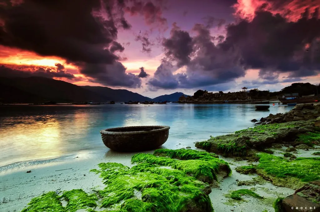 Mùa rêu đá Cổ Thạch đẹp đến nghẹt thở