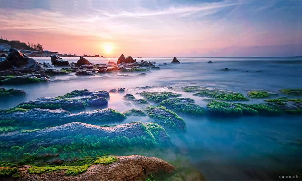 Mùa rêu đá Cổ Thạch đẹp đến nghẹt thở