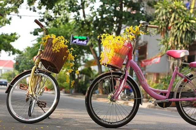 Muồng hoàng yến kiêu sa trên những ngõ Sài thành Muồng hoàng yến kiêu sa trên những ngõ Sài thành