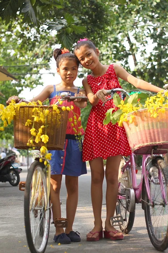 Muồng hoàng yến kiêu sa trên những ngõ Sài thành Muồng hoàng yến kiêu sa trên những ngõ Sài thành