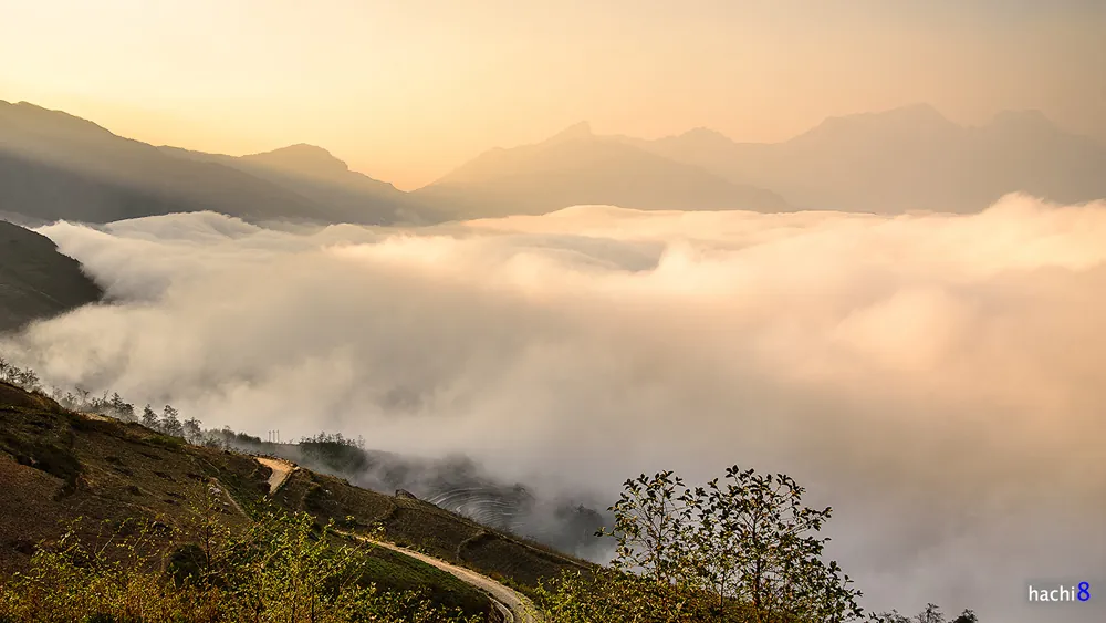 Ngải Thầu - Điểm phượt yêu thích mùa xuân Ngải Thầu điểm phượt yêu thích mùa xuân