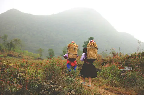 Ngắm Hà Giang đẹp mê hồn qua ảnh Ngắm Hà Giang đẹp mê hồn qua ảnh