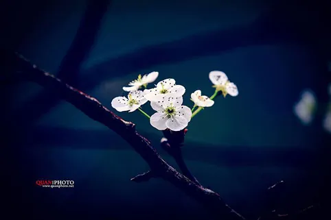Ngắm Hà Giang đẹp mê hồn qua ảnh Ngắm Hà Giang đẹp mê hồn qua ảnh