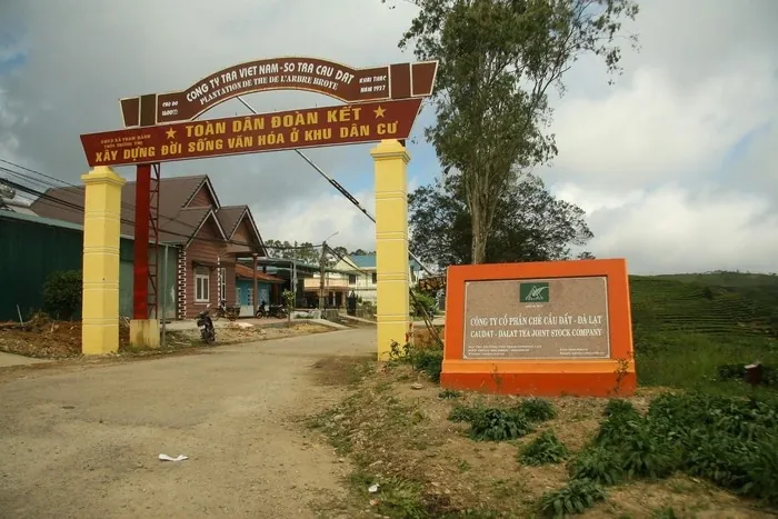 Ngẩn ngơ trước những gam màu mùa Đông của Đà Lạt Ngẩn ngơ trước những gam màu mùa Đông của Đà Lạt