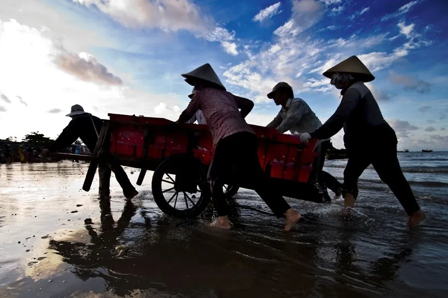 Buổi sáng lao động hăng say ở biển Long Hải
