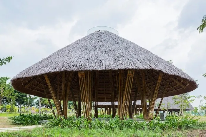 Những cây nấm khổng lồ nấp bên dòng sông Sài Gòn Những cây nấm khổng lồ trên đảo Kim Cương Sài Gòn