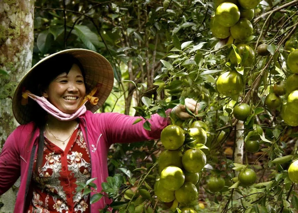 Những điểm đến hấp dẫn nhất khi du lịch Hậu Giang Những điểm đến hấp dẫn nhất khi du lịch Hậu Giang