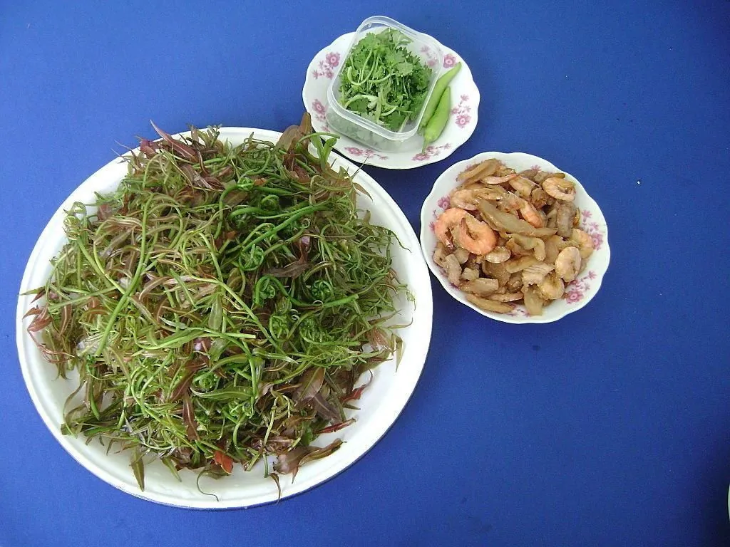 Những điểm đến hấp dẫn nhất khi du lịch Hậu Giang Những điểm đến hấp dẫn nhất khi du lịch Hậu Giang