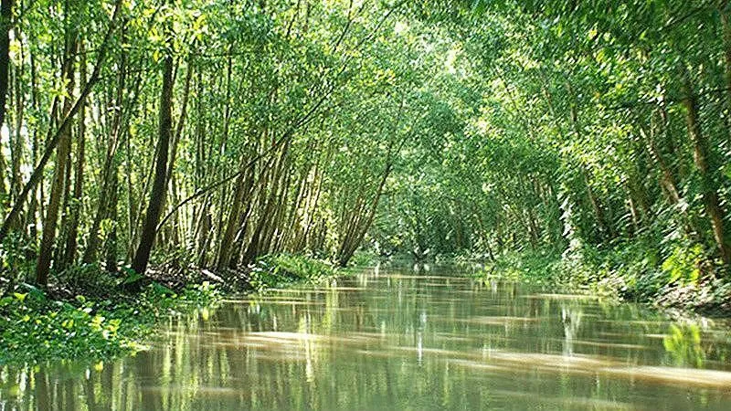 Những điểm đến hấp dẫn nhất khi du lịch Hậu Giang Những điểm đến hấp dẫn nhất khi du lịch Hậu Giang