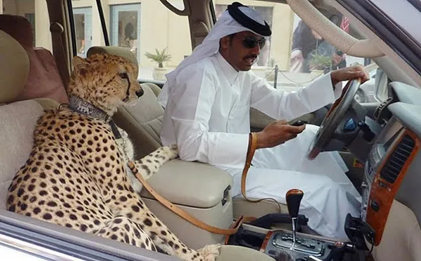 Những điều xa xỉ tới mức điên rồ chỉ có ở Dubai