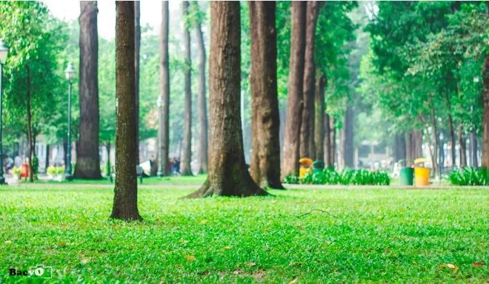 Những quán cafe độc đáo ở Sài Gòn Những quán cafe độc đáo ở Sài Gòn