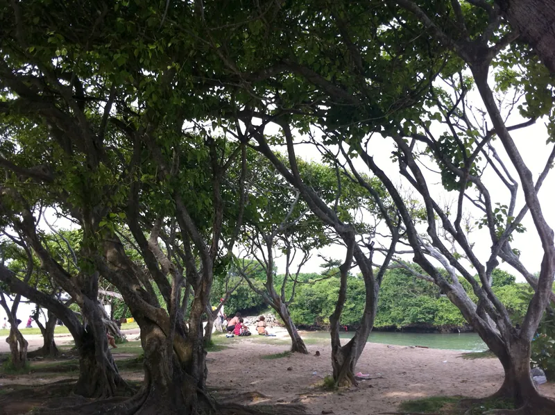 Du lịch Bali tới Nusa Dua ngắm nàng thơ xinh đẹp Du lịch Bali tới Nusa Dua ngắm nàng thơ xinh đẹp