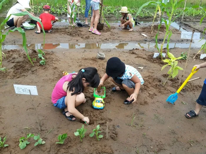 Quận 2 có gì chơi trong mắt giới trẻ Sài Gòn Cùng gia đình tới Family Garden để có những trải nghiệm ngọt ngào bên nhau