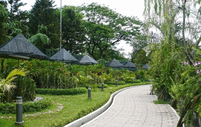 Quận 6 có gì chơi giữa Sài Gòn hoa lệ? Đầm Sen là địa điểm vui chơi lý tưởng gần Quận 6