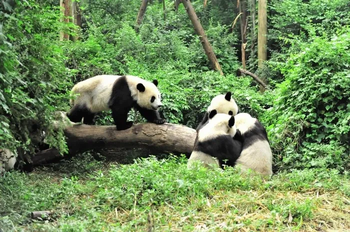 Sài Gòn tỏa sáng top 10 thành phố phát triển du lịch nhanh nhất Sài Gòn tỏa sáng top 10 thành phố phát triển du lịch nhanh nhất