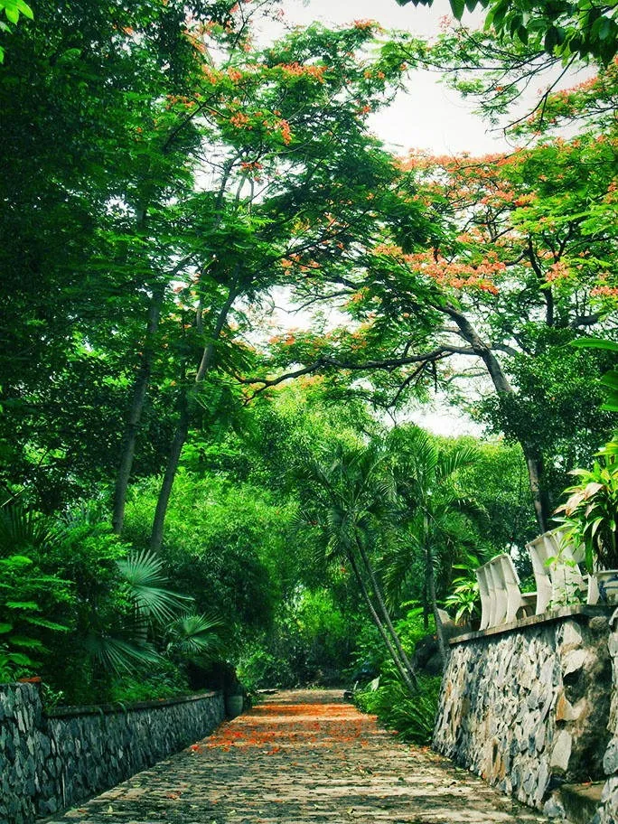Sài Gòn trong mắt người thương Sài Gòn trong mắt người thương