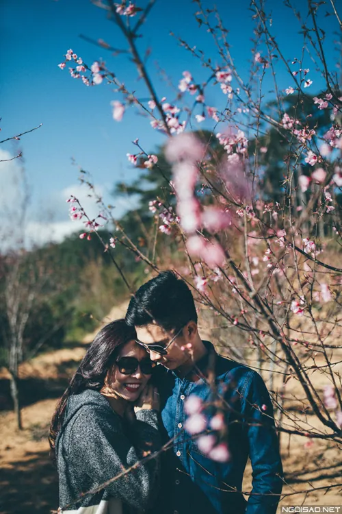 Say lòng bộ ảnh cưới lãng mạn dưới tán mai đào Đà Lạt Say lòng bộ ảnh cưới lãng mạn dưới tàn mai đào Đà Lạt