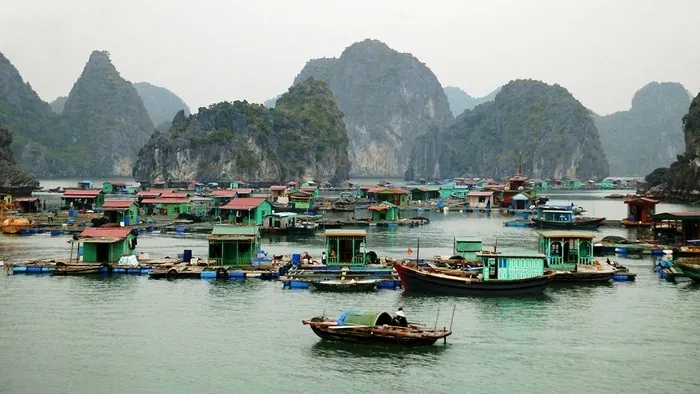 Tại sao Vịnh Hạ Long là một trong những nơi đẹp nhất hành tinh? Tại sao Vịnh Hạ Long là một trong những nơi đẹp nhất hành tinh