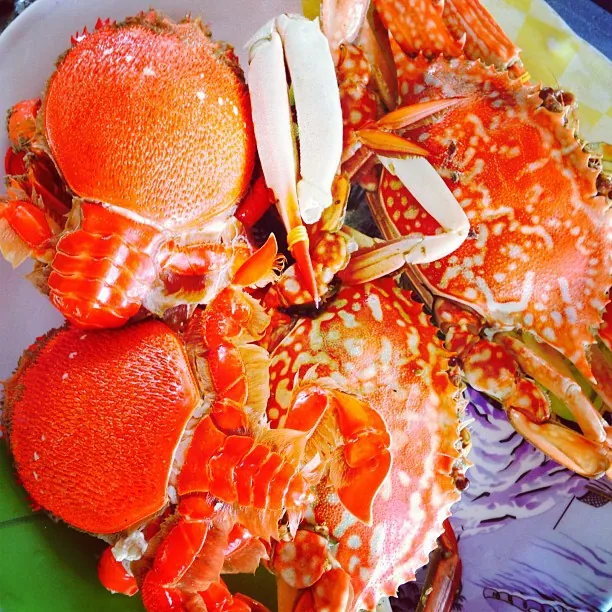 Tất tần tật những điều cần biết khi du lịch Vĩnh Hy Tất tần tật những điều cần biết khi du lịch Vĩnh Hy