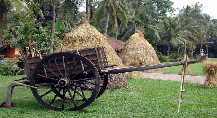 Tất tần tật về kinh nghiệm du lịch Sài Gòn Các khu du lịch ngoại thành lại đưa bạn về miền yên bình của thiên nhiên
