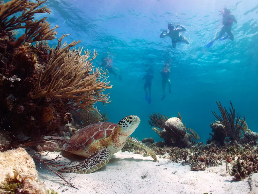 Thị trấn Tulum điểm đến ưa thích của giới sao