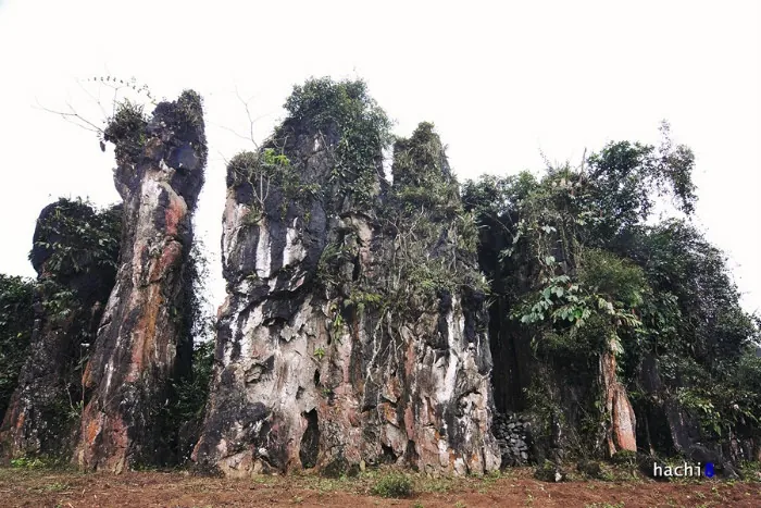 Thiên Đường Xám Trên Cao Nguyên Đá Đồng Văn Thiên Đường Xám Trên Cao Nguyên Đá Đồng Văn