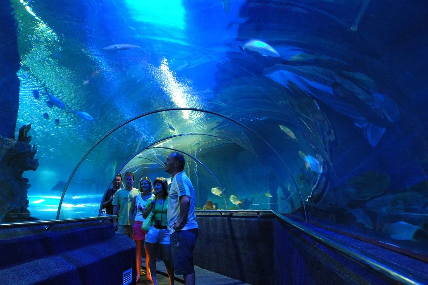 Thời điểm du lịch Nha Trang đẹp nhất? Viện Hải Dương Học Nha Trang