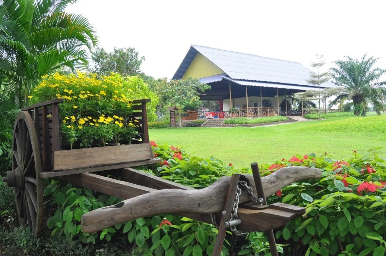 TP Hồ Chí Minh Dân xì phố dã ngoại cuối tuần ở đâu Phần 1