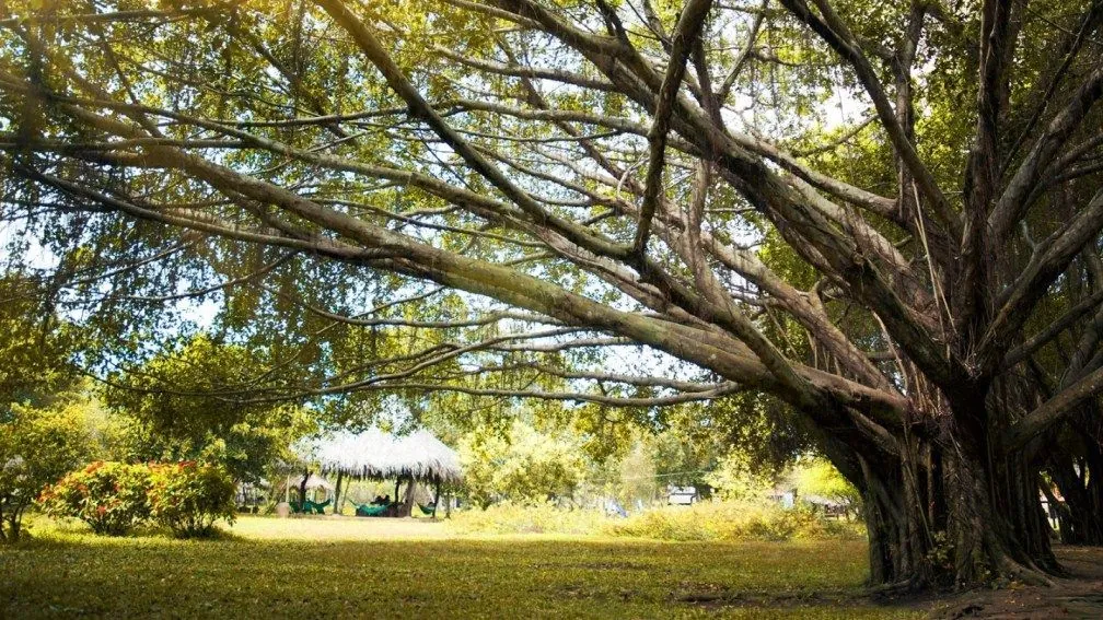 TP Hồ Chí Minh Dân xì phố dã ngoại cuối tuần ở đâu Phần 1
