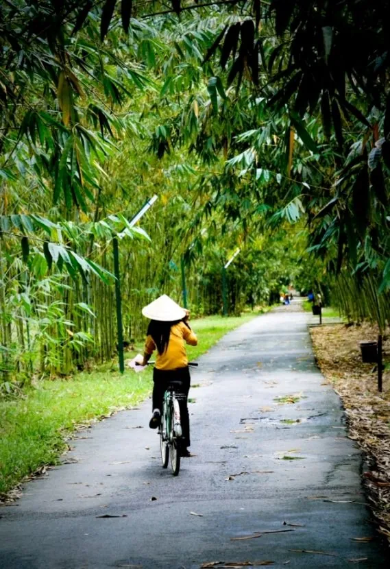 TP Hồ Chí Minh Dân xì phố dã ngoại cuối tuần ở đâu Phần 1