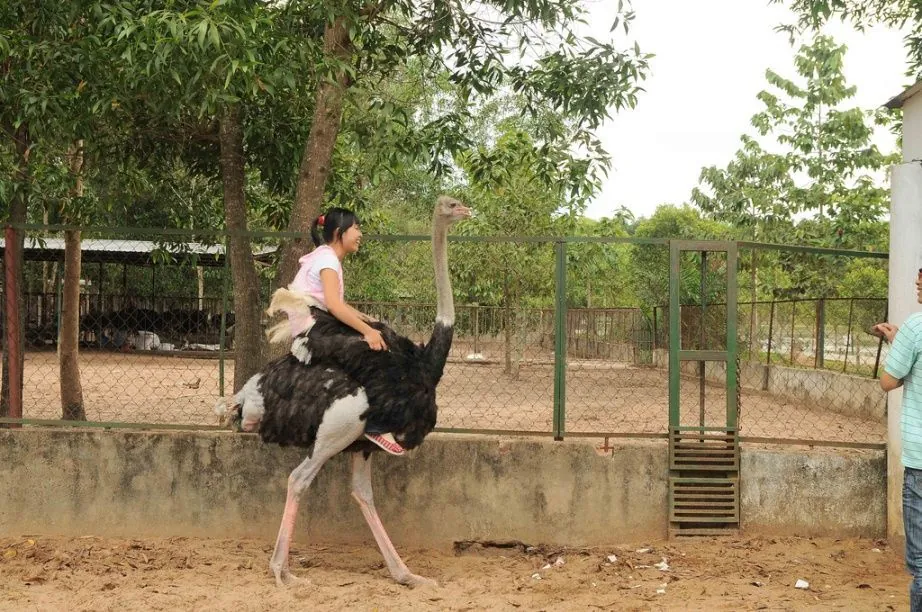TP Hồ Chí Minh Dân xì phố dã ngoại cuối tuần ở đâu Phần 1