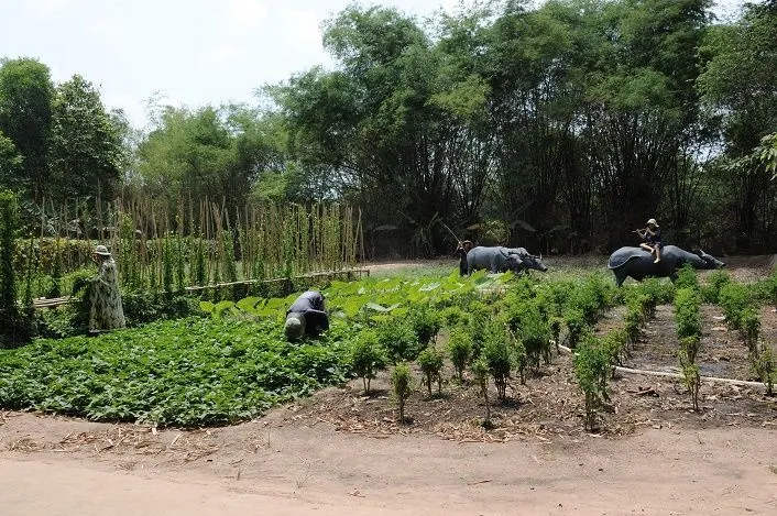 Trải nghiệm phiêu lưu thời chiến nơi đất thép thành đồng Củ Chi Trải nghiệm phiêu lưu thời chiến nơi đất thép thành đồng Củ Chi