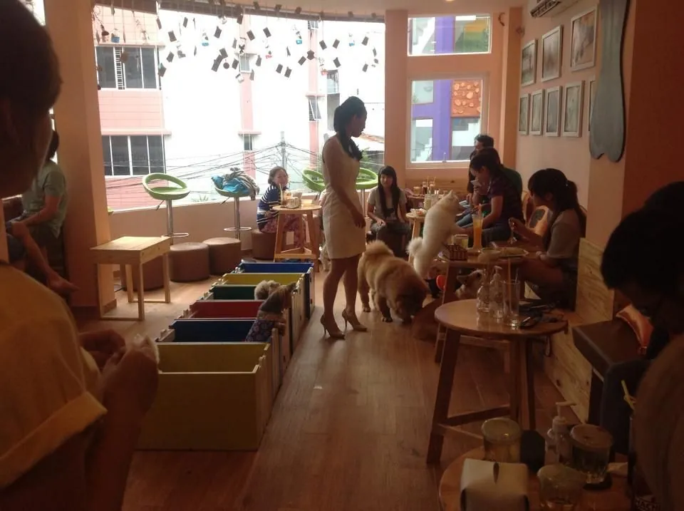 Truy tìm những quán café thú cưng siêu độc ở Sài Gòn - Phần 1 Truy tìm những quán café thú cưng siêu độc ở Sài Gòn Phần 1