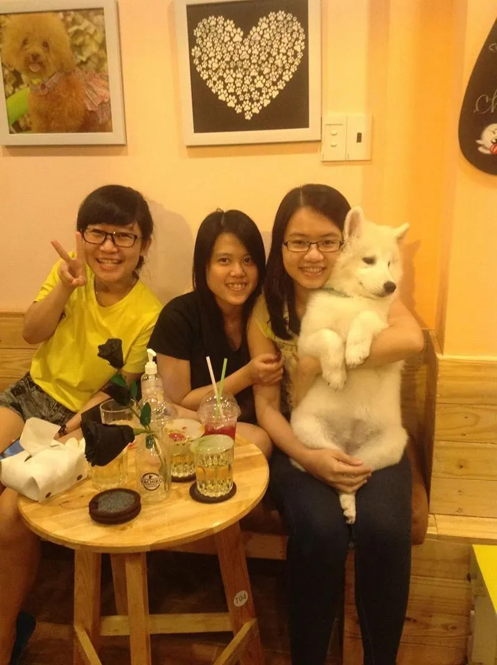 Truy tìm những quán café thú cưng siêu độc ở Sài Gòn - Phần 1 Truy tìm những quán café thú cưng siêu độc ở Sài Gòn Phần 1