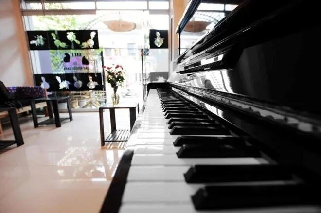 Truy tìm những quán café thú cưng siêu độc ở Sài Gòn - Phần 1 Truy tìm những quán café thú cưng siêu độc ở Sài Gòn Phần 1