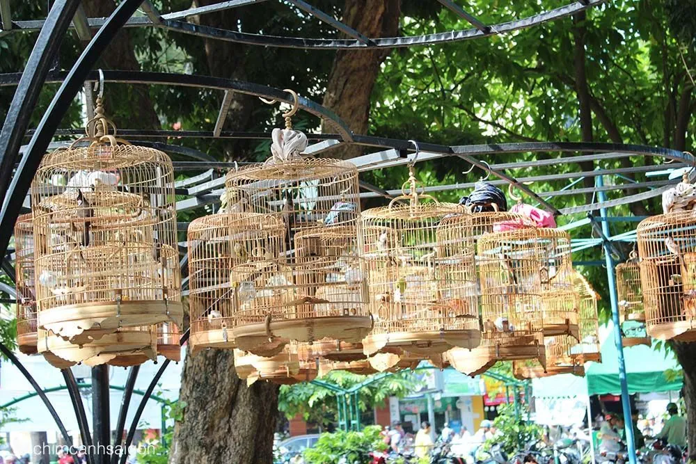 Truy tìm những quán café thú cưng siêu độc ở Sài Gòn Phần 2