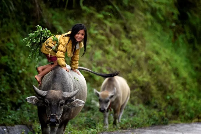 Vẻ đẹp của đất và người Hoàng Su Phì Vẻ đẹp của đất và người Hoàng Su Phì