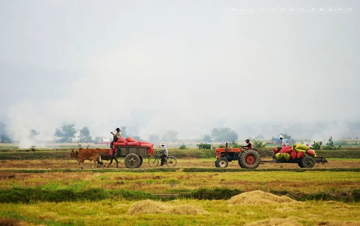 Vẻ đẹp của đất và người phương Nam Bình Dương