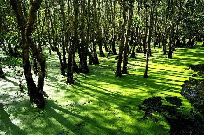 Vẻ đẹp của đất và người phương Nam An Giang