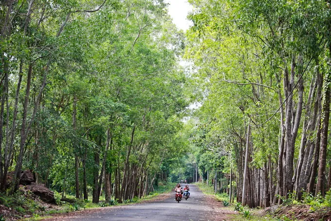 Vẻ đẹp lãng du trên lòng hồ Ea Kao Vẻ đẹp lãng du trên lòng hồ Ea Kao