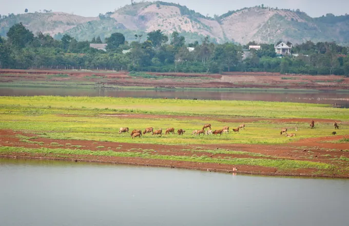 Vẻ đẹp lãng du trên lòng hồ Ea Kao Vẻ đẹp lãng du trên lòng hồ Ea Kao