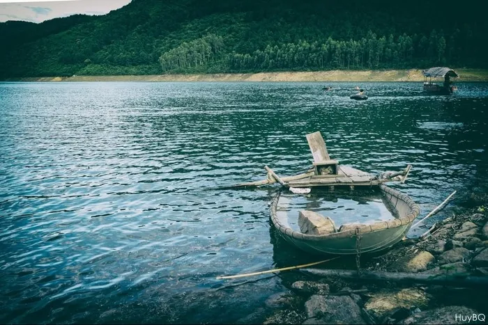 Xạ Hương Nàng tiên của mảnh đất Tam Đảo