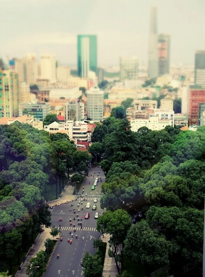 Xôn xao những hàng cây Sài Gòn Xôn xao những hàng cây Sài Gòn