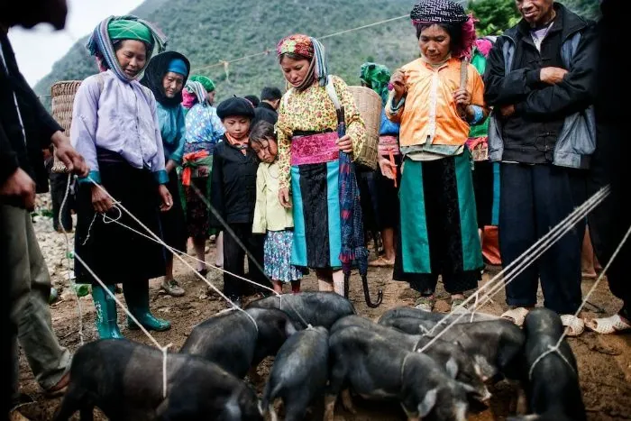 Xuân về trên cao nguyên đá Hà Giang Xuân về trên cao nguyên đá Hà Giang