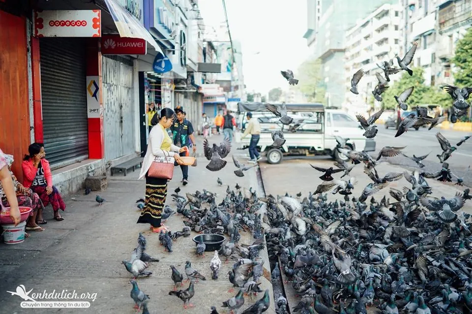 Kinh nghiệm du lịch bụi Myanmar 6 ngày 5 đêm chỉ hơn 6 triệu Kinh nghiệm du lịch bụi Myanmar 6 ngày 5 đêm chỉ hơn 6 triệu đồng