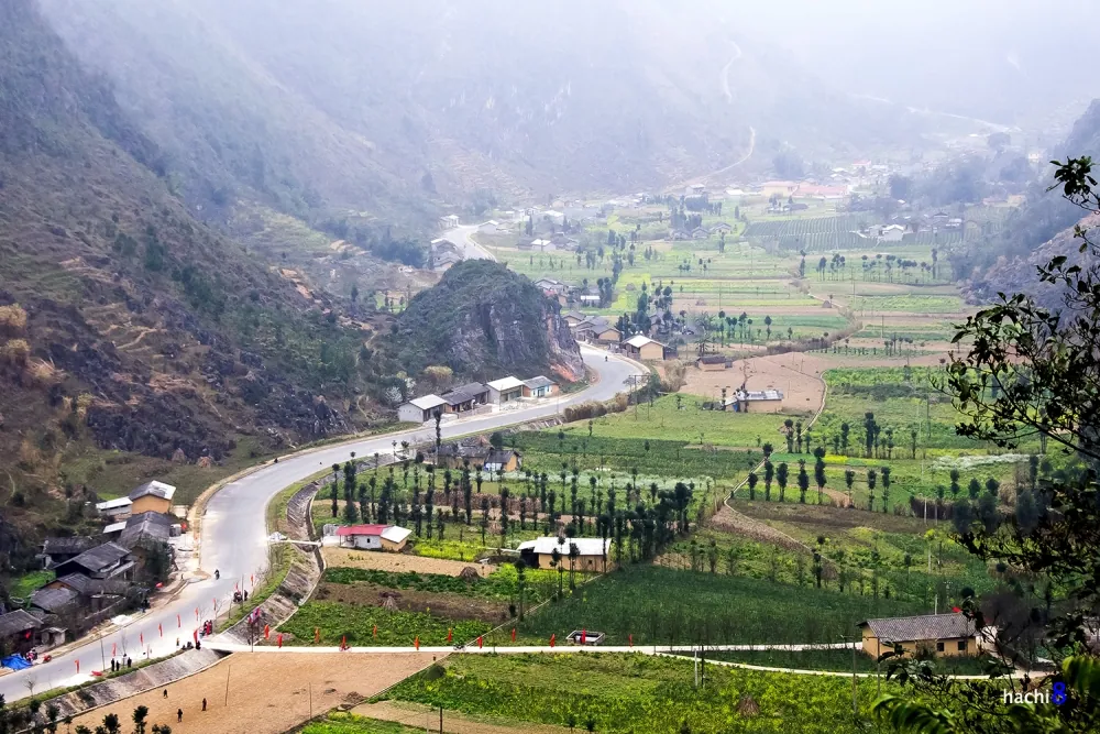 Sắc xuân rực rỡ trên cao nguyên đá Hà Giang